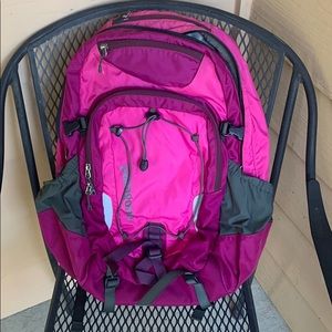 Patagonia Pink Backpack